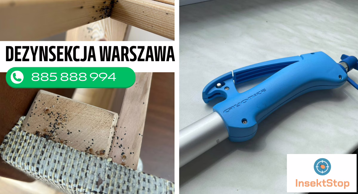 dezynsekcja warszawa